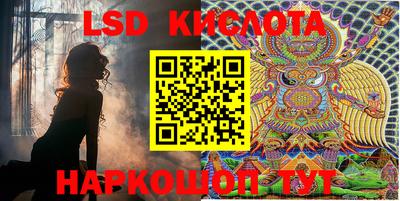 прущие грибы Кимры