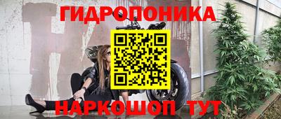 дурь Кингисепп