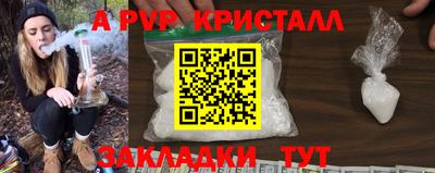 дурь Кингисепп
