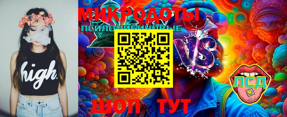 Псилоцибиновые грибы мицелий Коркино